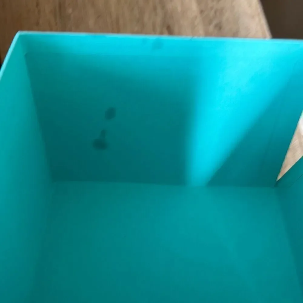 Tiffany & co black leatherette watch box And blue box with instructions